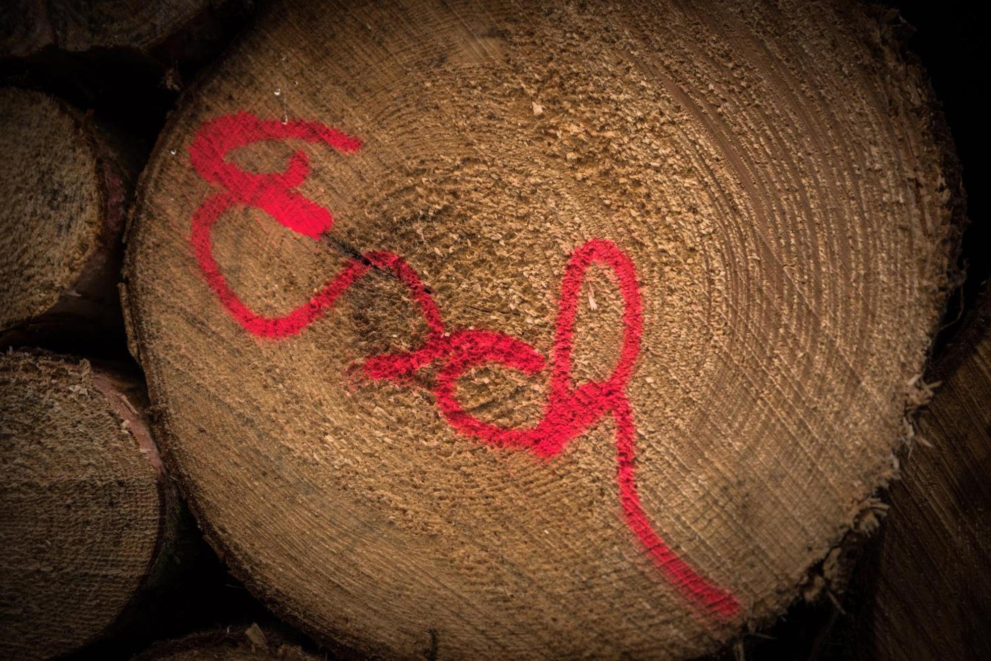 Holzhaus Onkel Fritz Mit Sauna Und Whirlwanne Esch  Exteriör bild