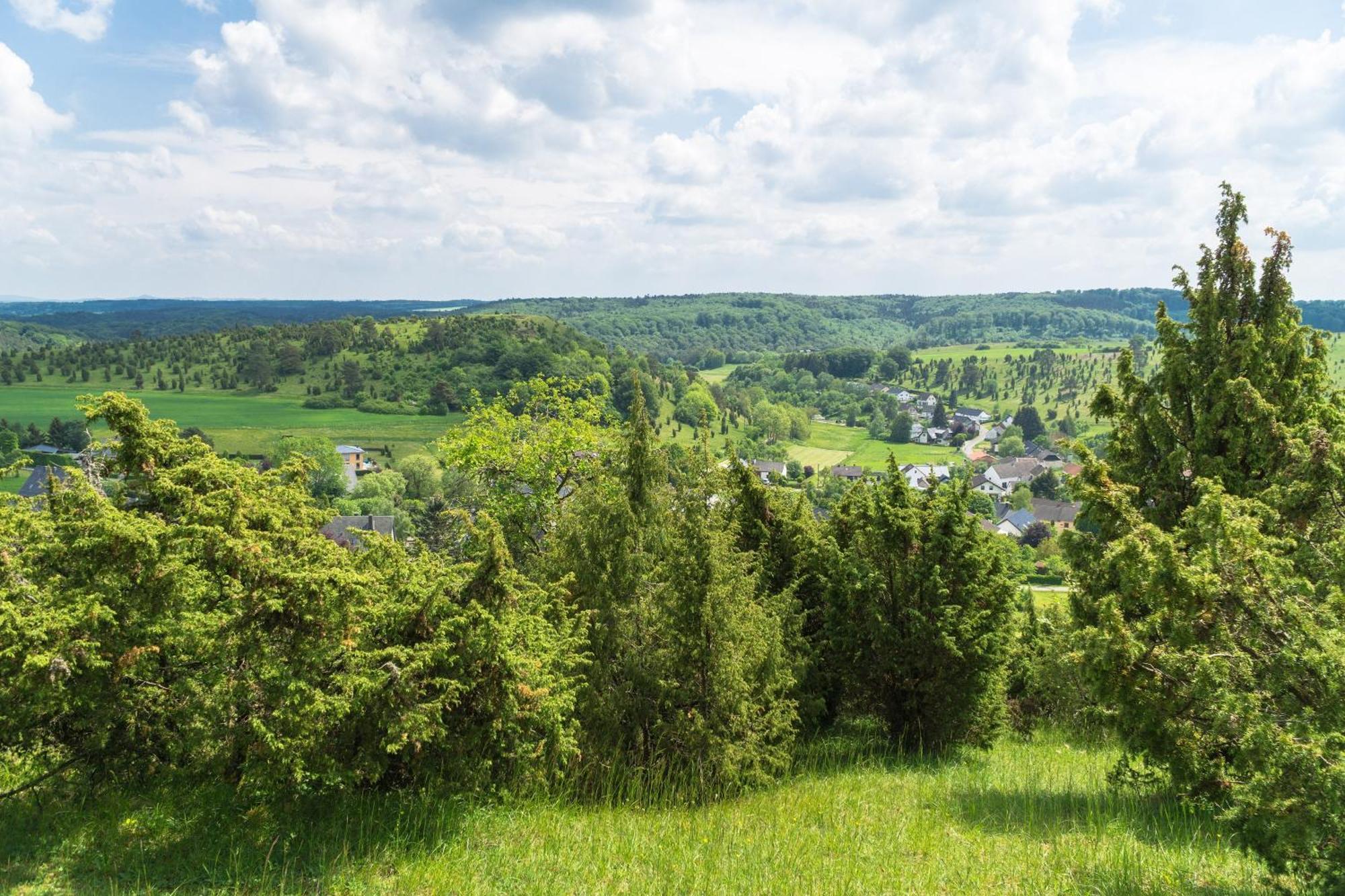 Holzhaus Onkel Fritz Mit Sauna Und Whirlwanne Esch  Exteriör bild