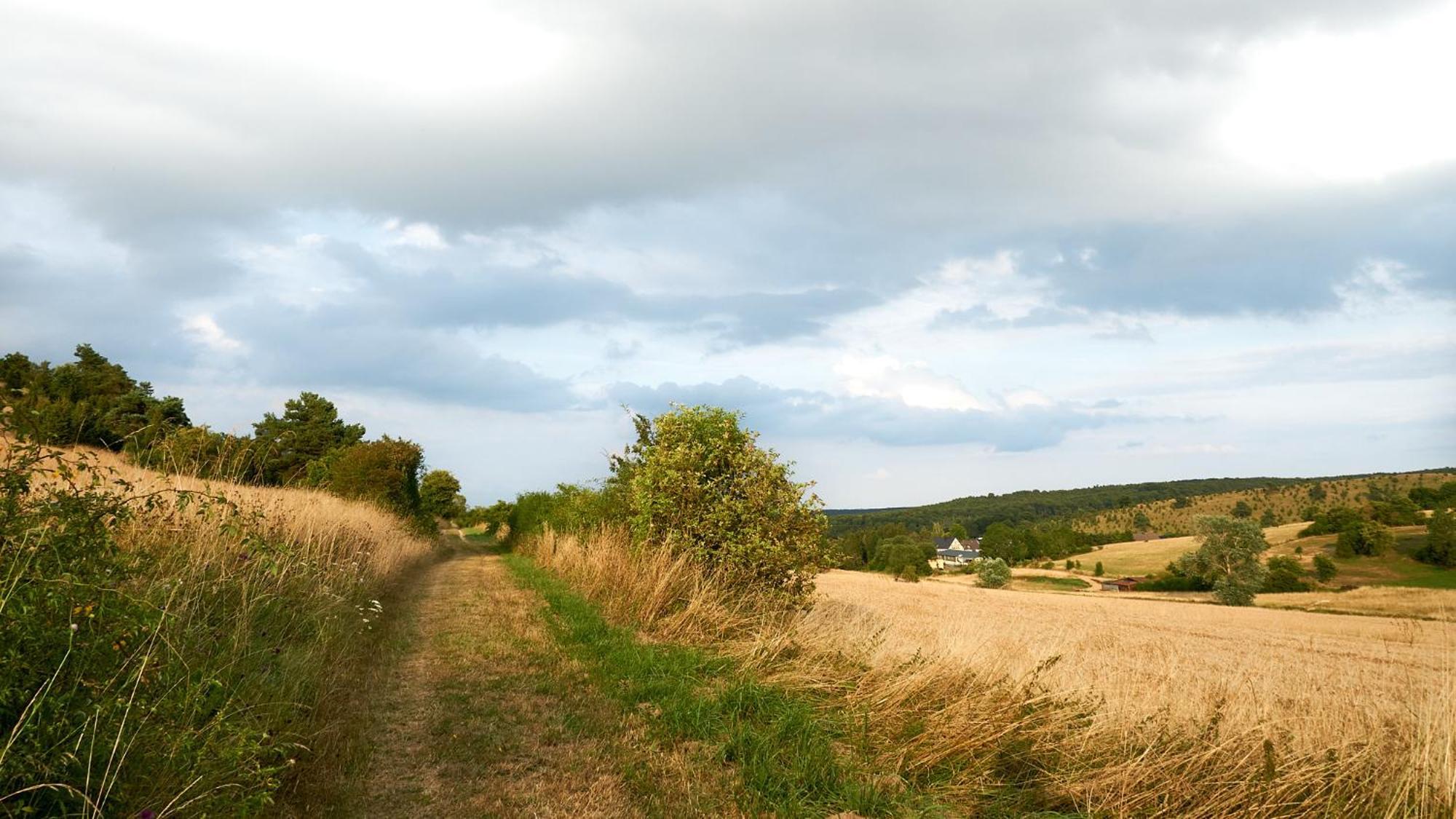 Holzhaus Onkel Fritz Mit Sauna Und Whirlwanne Esch  Exteriör bild