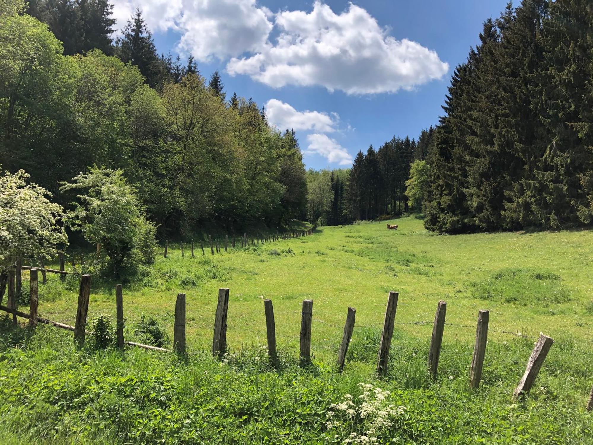 Holzhaus Onkel Fritz Mit Sauna Und Whirlwanne Esch  Exteriör bild